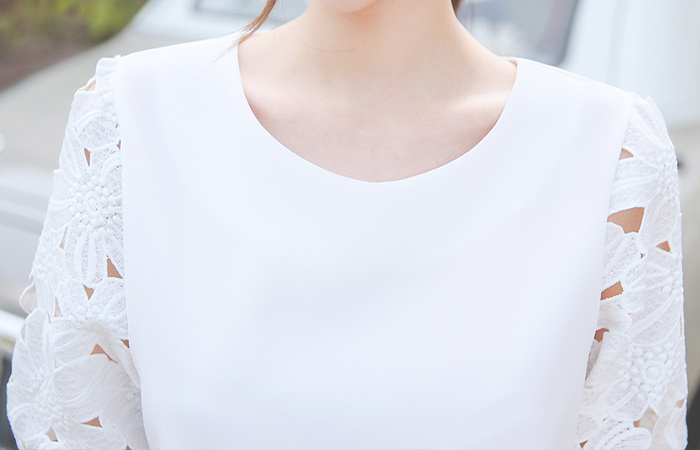Eyelet embroidery sleeve Blouse