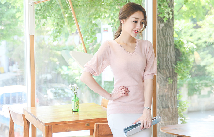 See-through look sleeve V-neck Knit