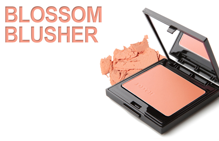 Blossom Blusher (+ Brush)
