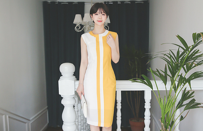 Slim Dress