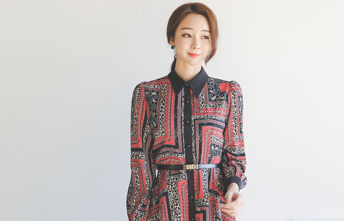 Antique Patterns Belt Flare Shirt Dress