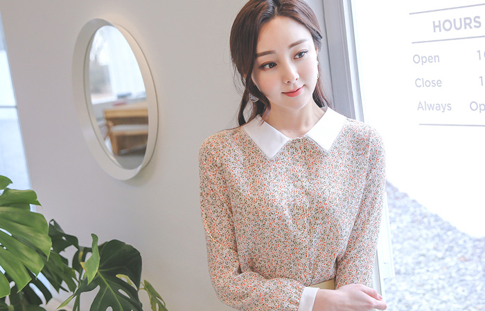 Floral Spring Embroidery-Collar Blouse