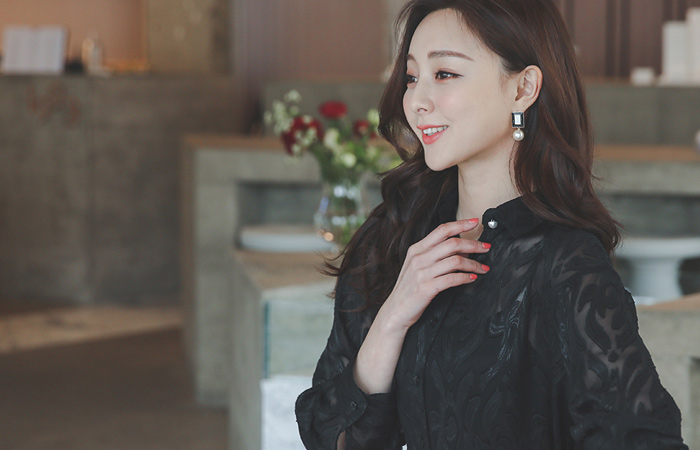 Burnt Out See-through Lace Collar Blouse