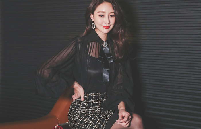 See-through Pleats Cubic Brooch Balloon Blouse