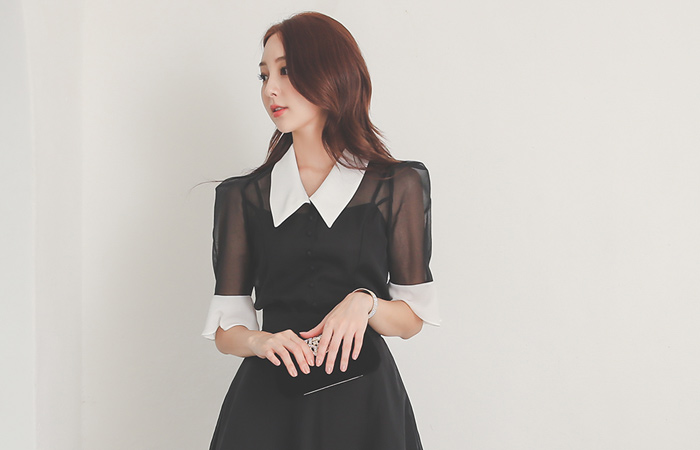 Big Collar Color Combination Organza Blouse