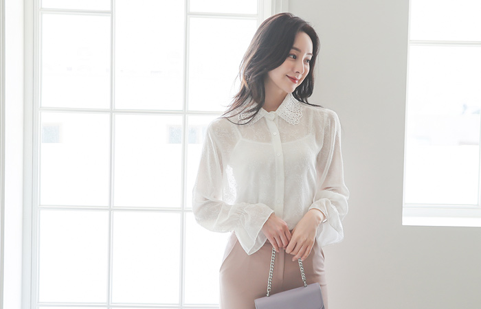 Embroidery Lace 포그 See-through Blouse