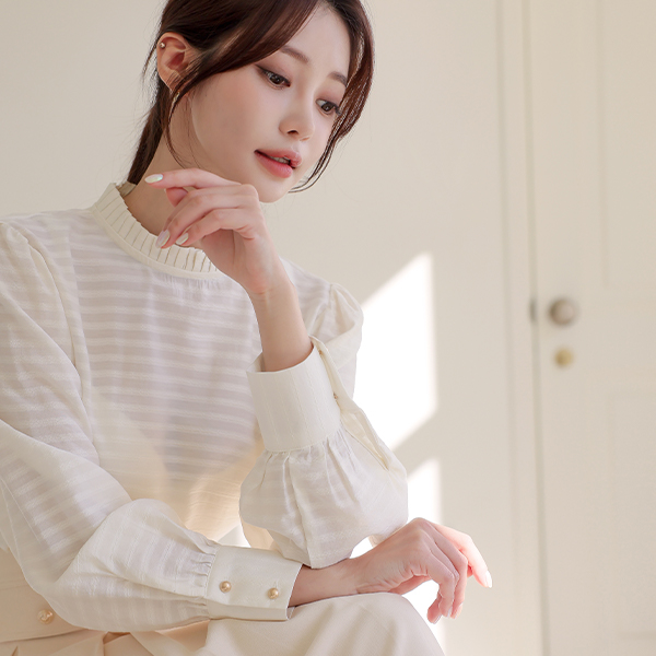 Pleats Neck Stripe Embroidery Blouse