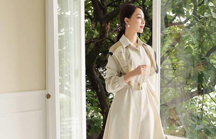 Collar Shirt Hidden Button Flared Dress