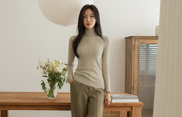 Every Day Basic Soft Turtleneck Knit