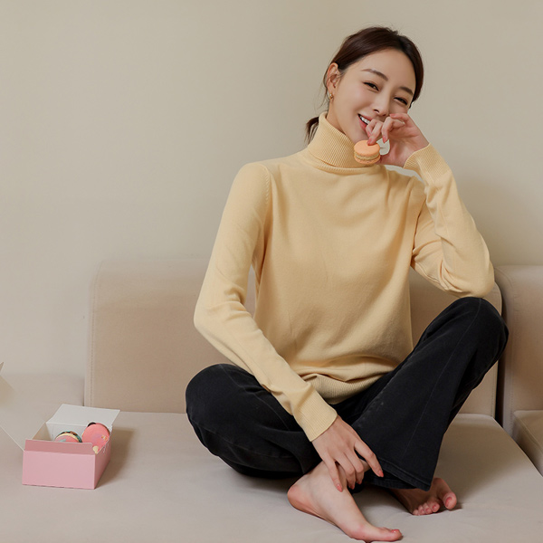 Soft Basic Fit Turtleneck Knit