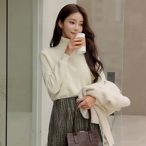 Basic Knit Turtleneck Knit