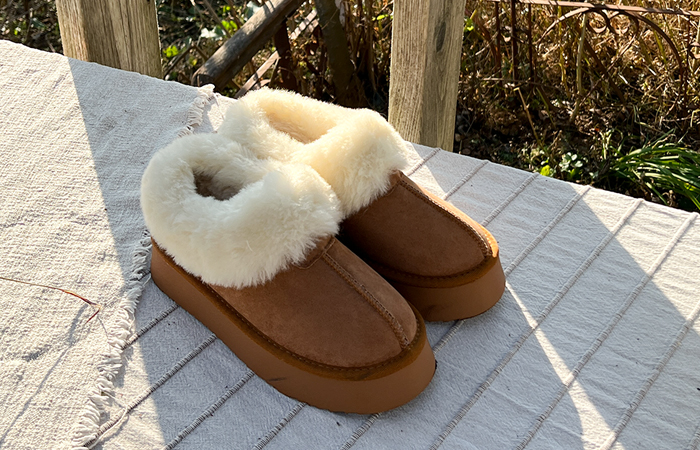 Cozy Fur Ugg Mini Platform shoes Boots