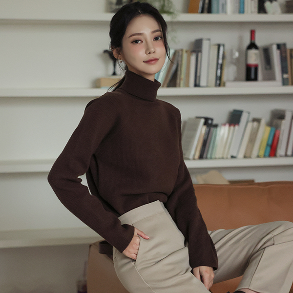 Cozy Cashmere Fine Wool High-Neck Knit