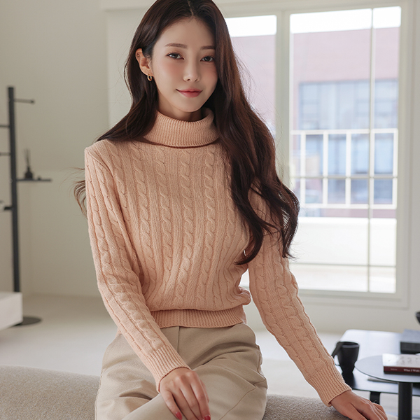 Every Day Turtleneck Knit