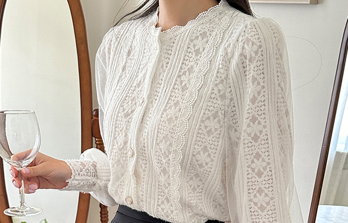 Elegance Lace Chiffon Sleeves Blouse