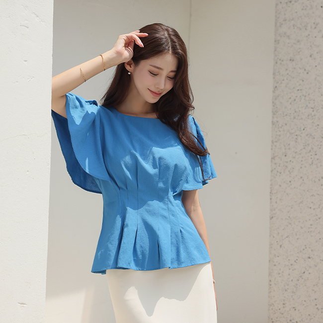 wing Sleeves Pintuck Point Blouse