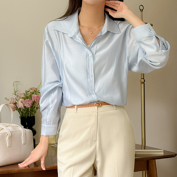 Lining Point Glossy Long-sleeve Blouse