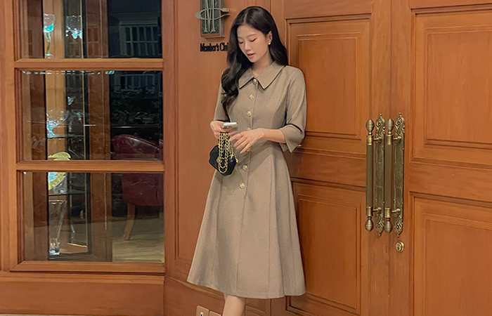 클라라 Collar A-line Dress