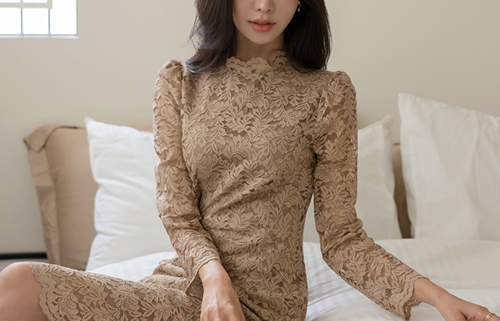 Autumn Jacquard Lace Slim Dress