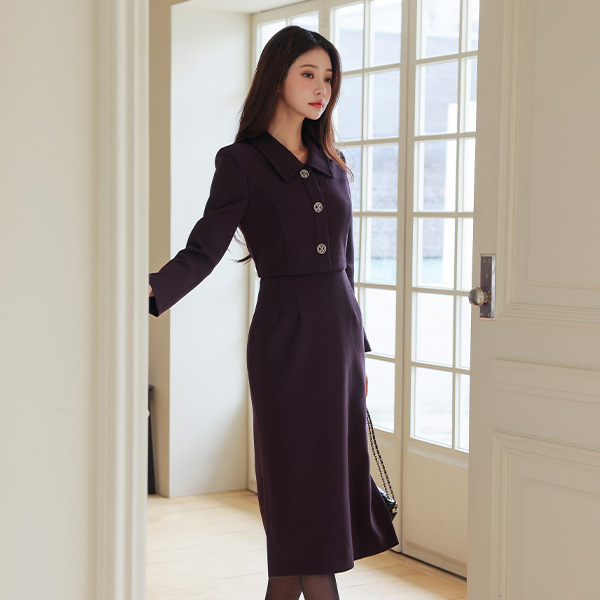 Single Collar Jacket layered H-line Dress