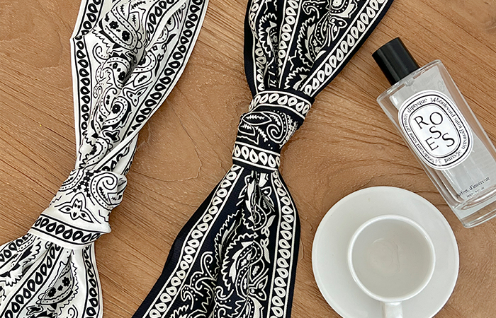 Paisley Mood Twilly Silk Scarf