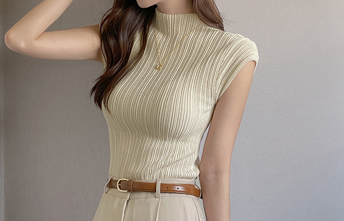 Ensemble Wrinkle 반목넥 Cap-Sleeves Knit