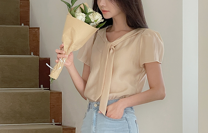 Romantic Tie Neck Organza Blouse