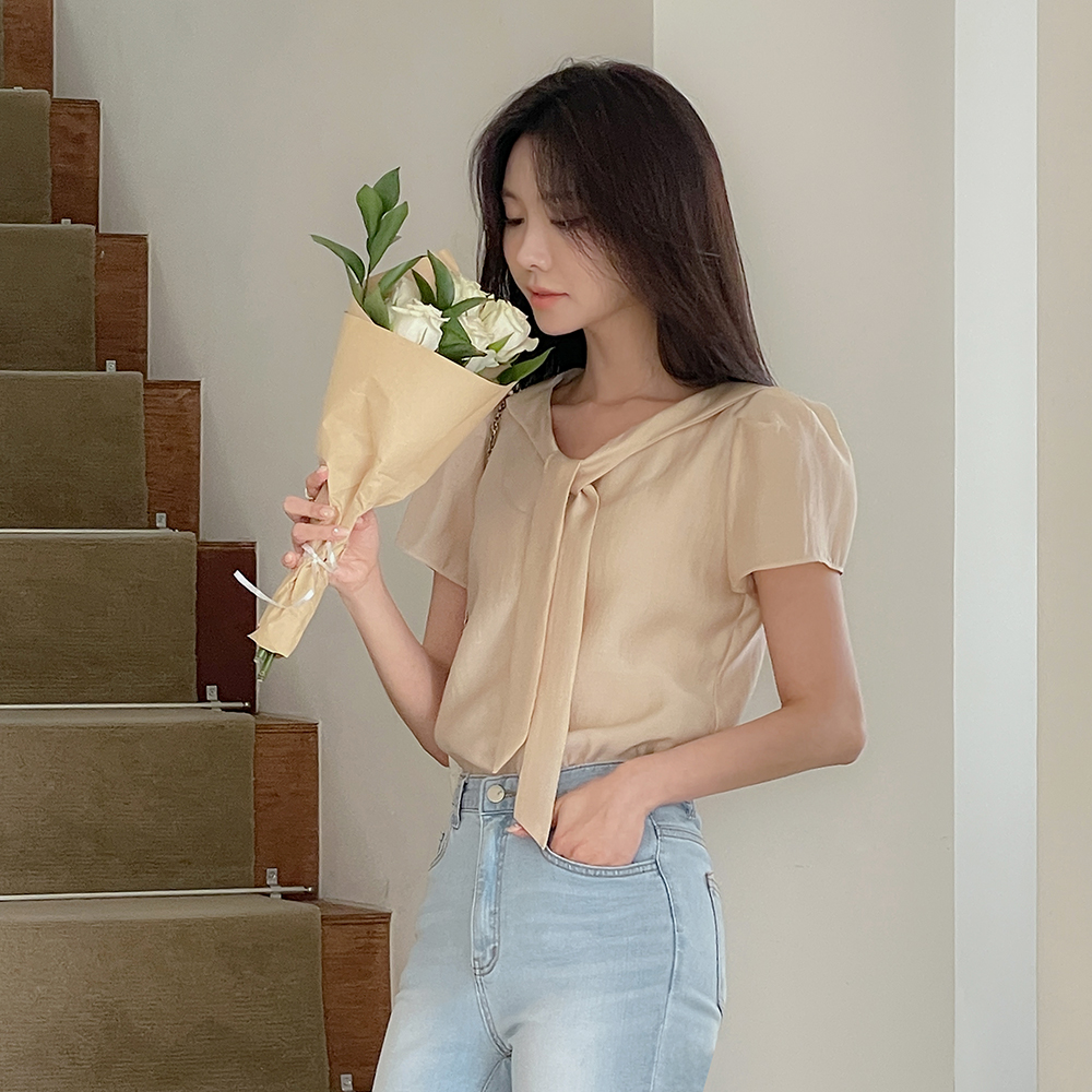 Romantic Tie Neck Organza Blouse