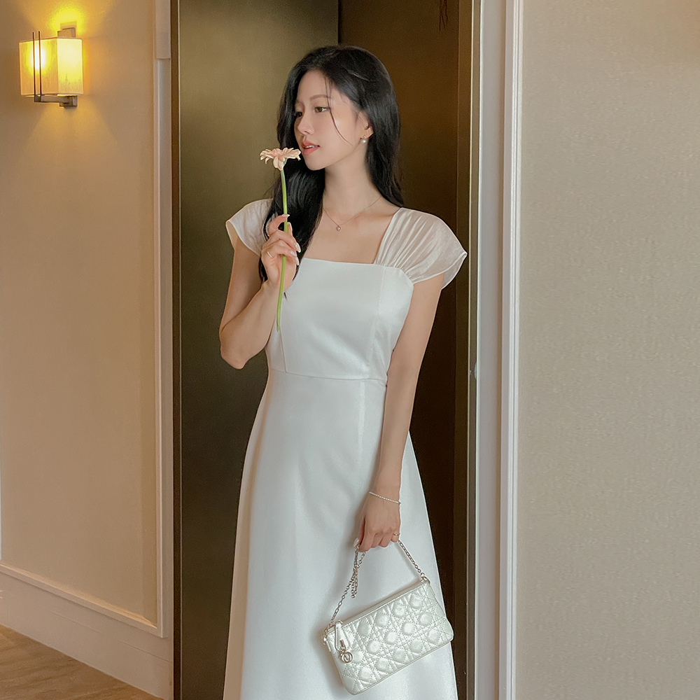 Shirring See-through Cap-Sleeves A-line Dress