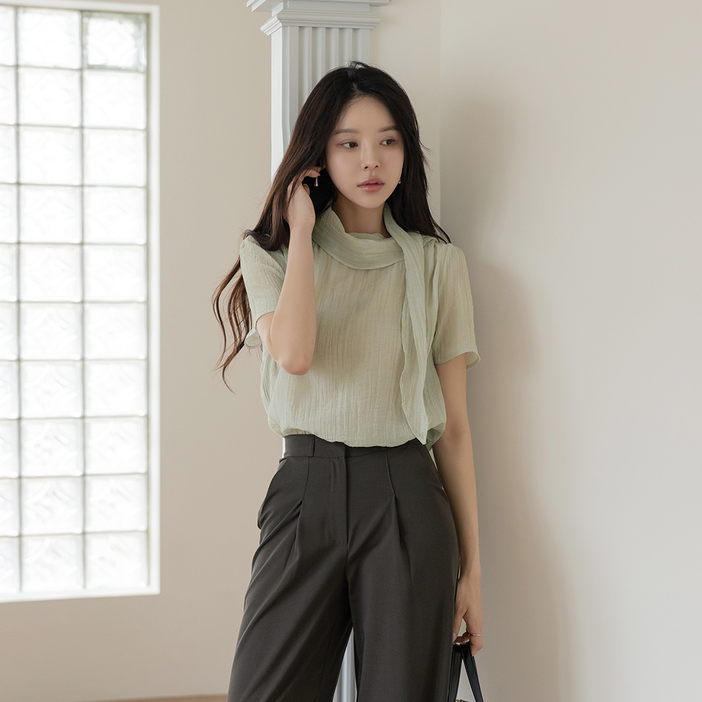 Wrinkle Tie Neck See-through Blouse
