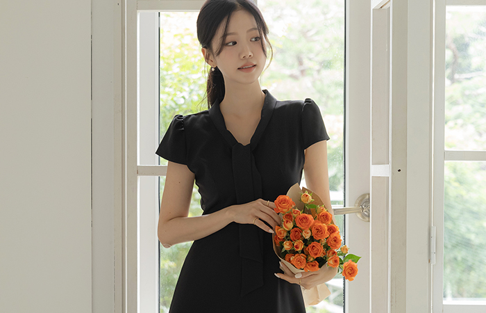 Tie Neck A-line Dress(2type)