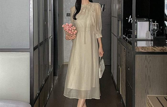 Tie Neck See-through Double A-line Dress