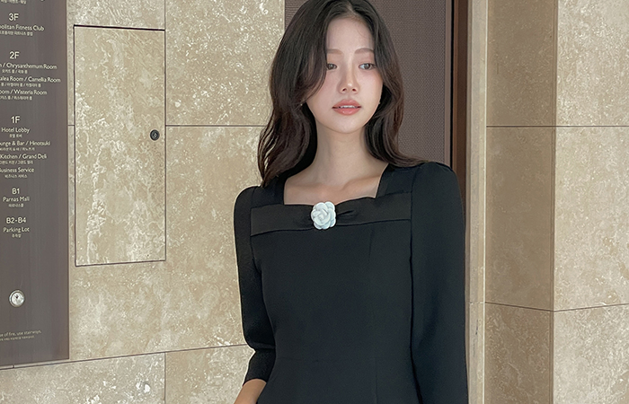 Audrey Brooch H-line Capri Dress