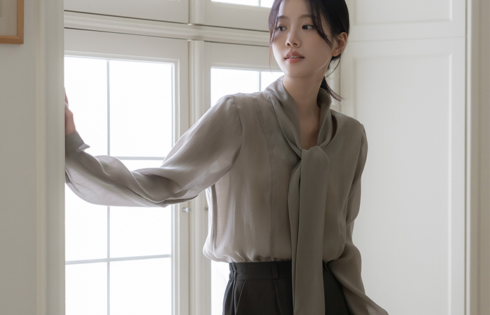 Tie Neck See-through Reversible Blouse