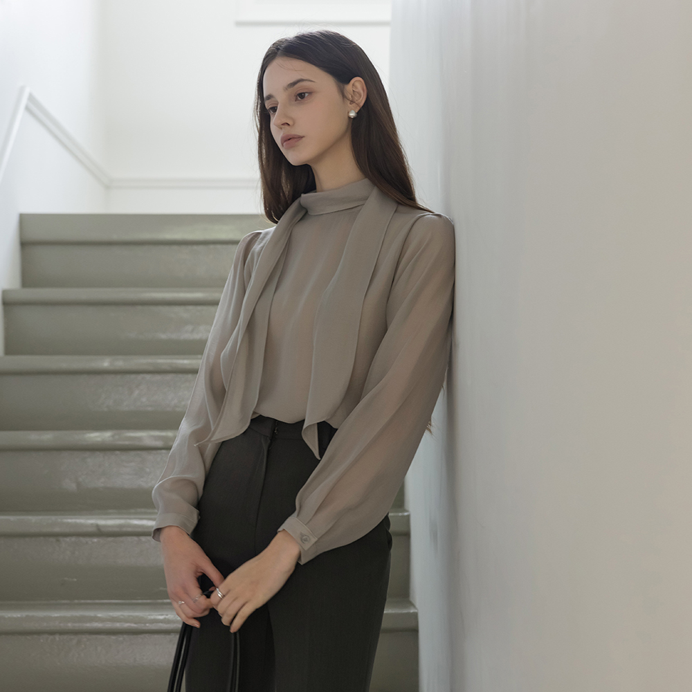 See-through Tie Neck Blouse