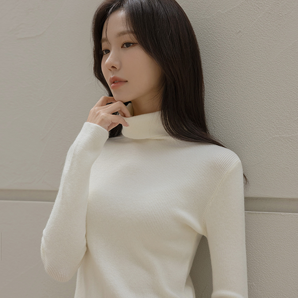 Basic Color Knit Turtleneck