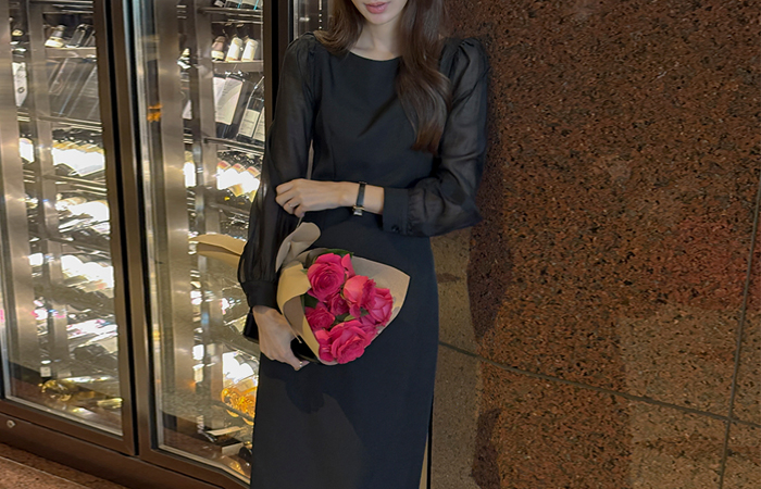 ODE See-through Sleeves H-line Dress(2type)