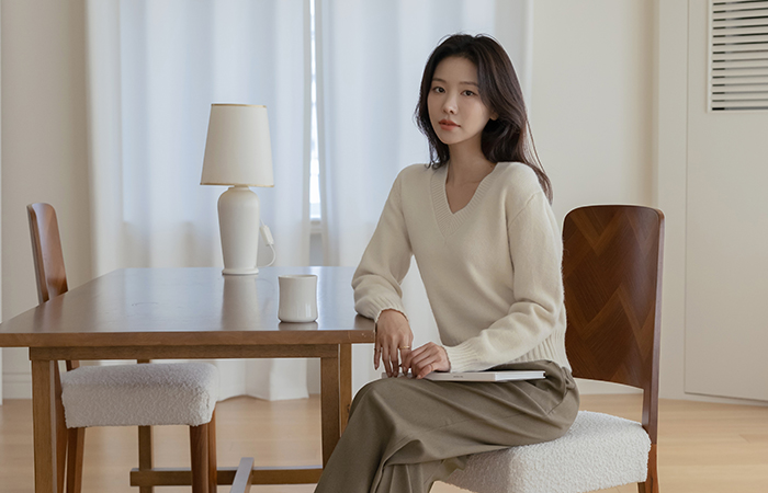 Daily VNeck 스탠다드핏 Knit