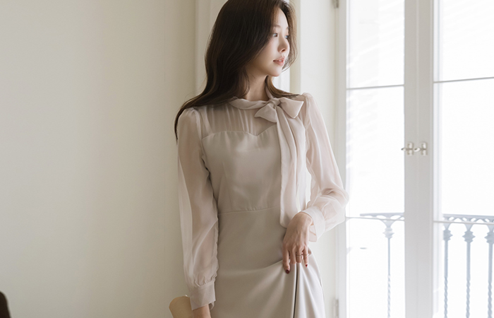 Ribbon neckline See-through Color Combination A-line Dress