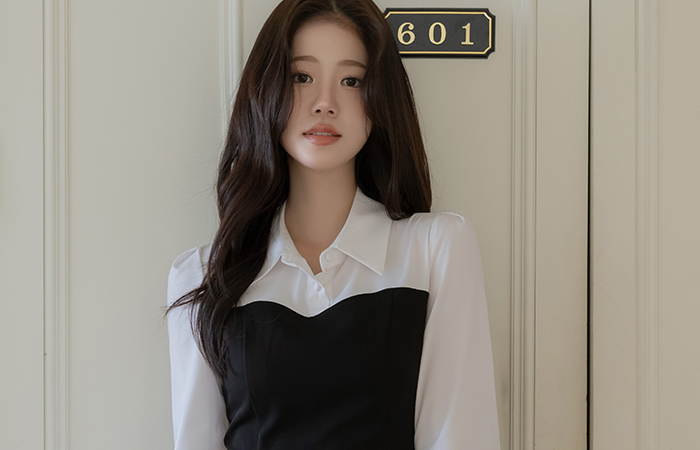 Polo layered Color Combination H-line Dress