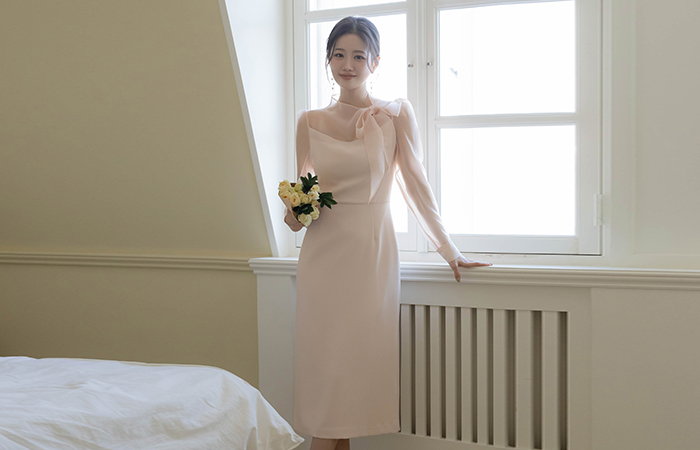 Romantic Ribbon neckline See-through Color Combination H-line Dress