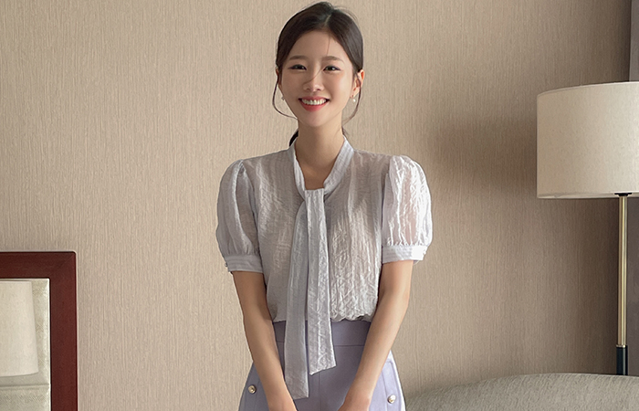 Rachel See-through Tie Neck Blouse